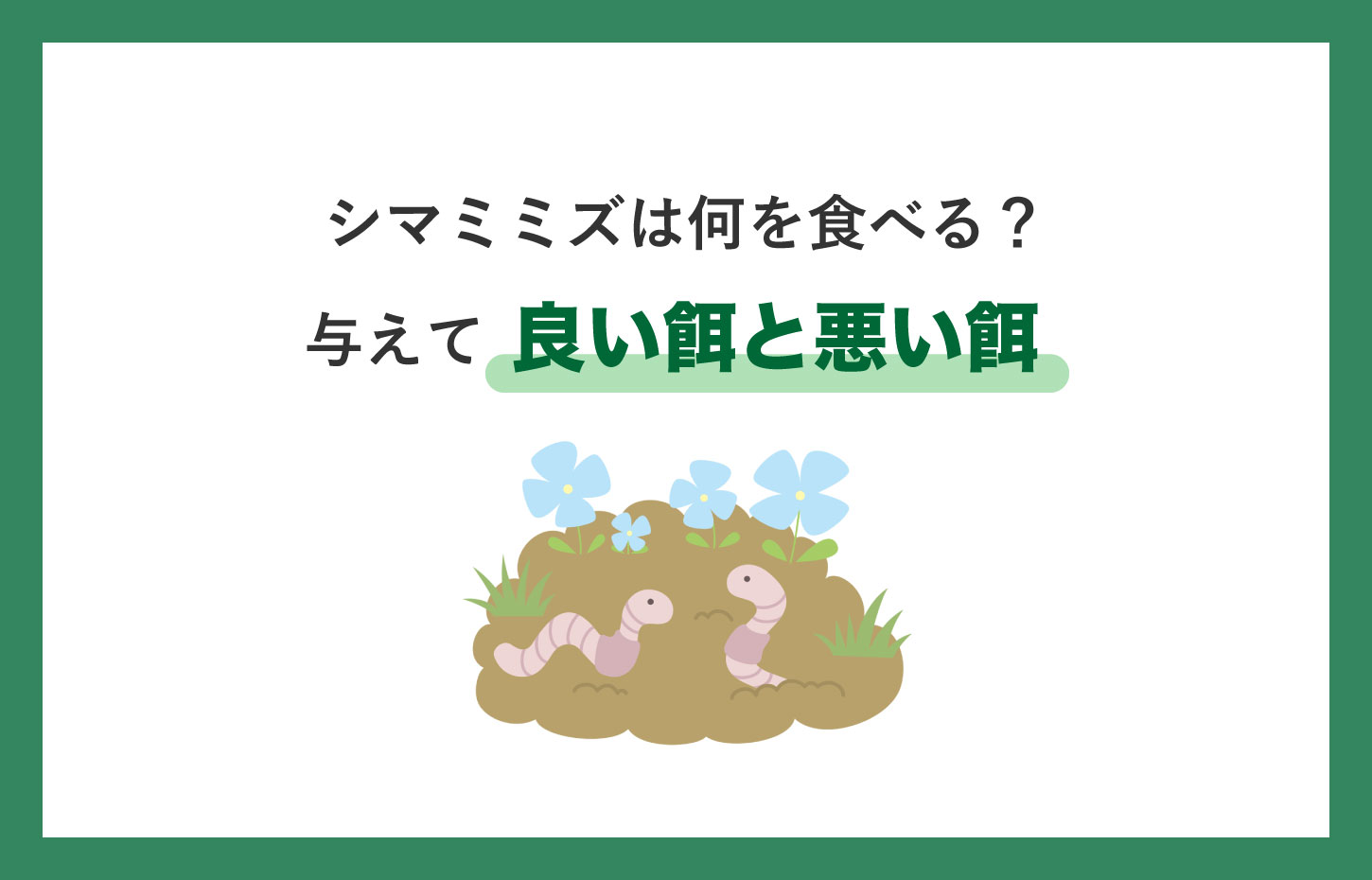 シマミミズは何を食べる？与えて良い餌と悪い餌